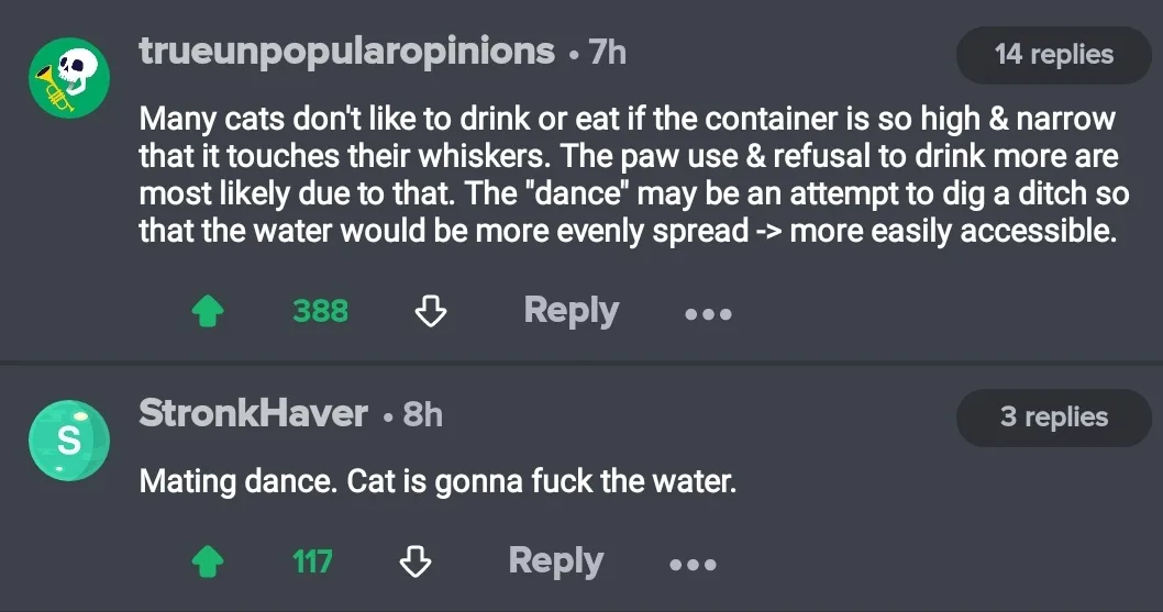 A screenshot of a Reddit comment thread where the top comment discusses cats avoiding high, narrow containers that touch…