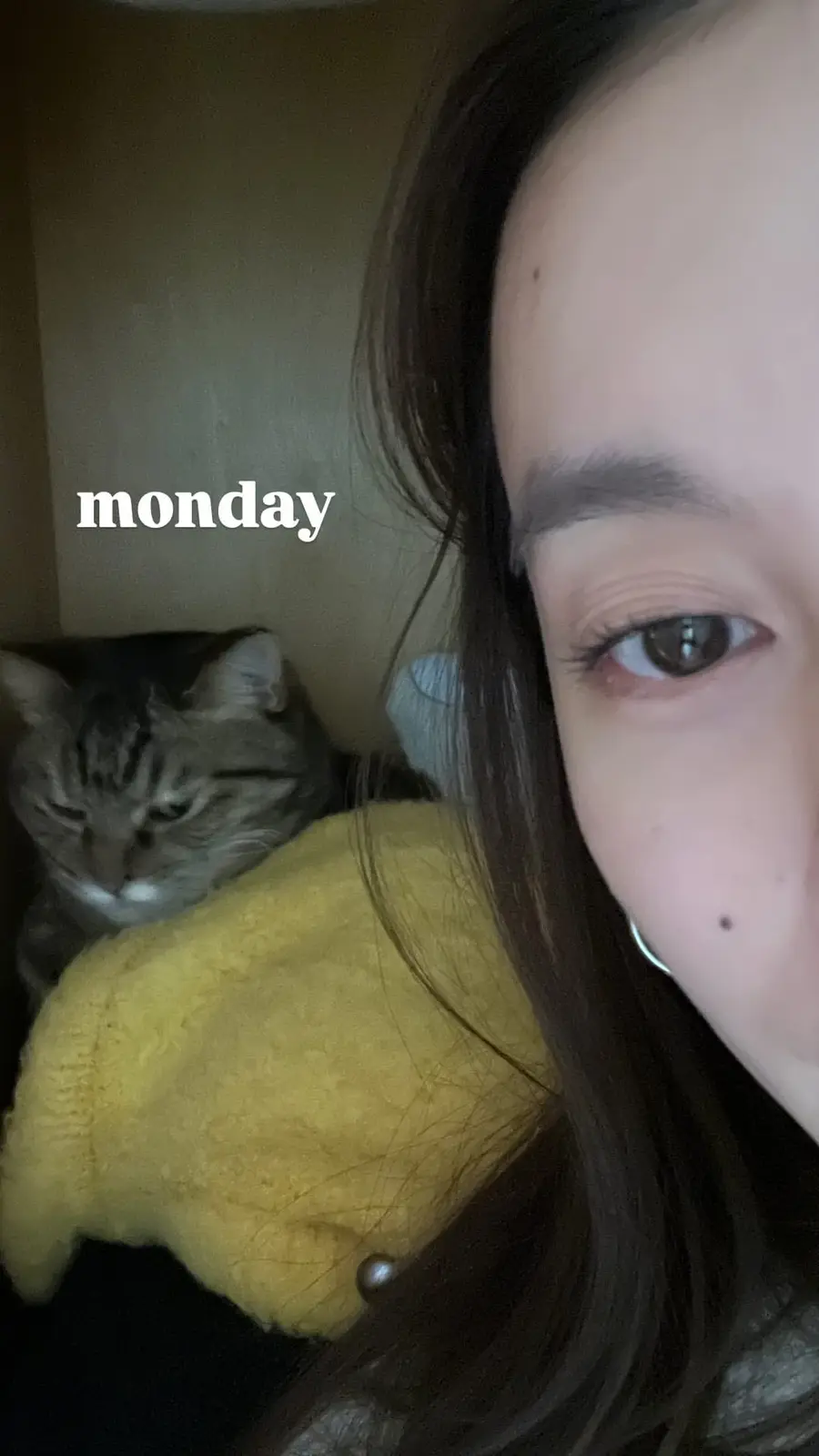 A close-up selfie shows a person's eye and part of their face, with a tabby cat in the background looking visibly…