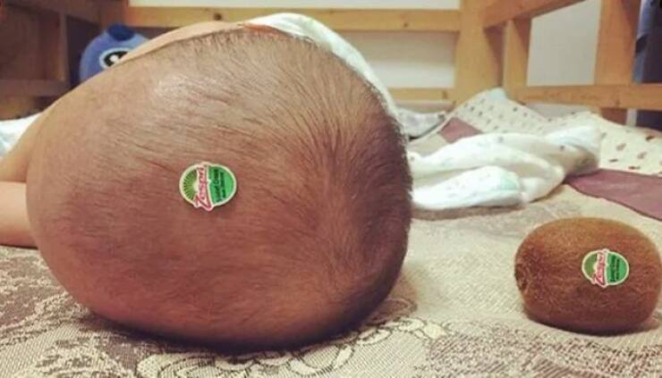 A baby lying on its stomach on a patterned blanket, with a green and red kiwi fruit sticker stuck to the back of its head…