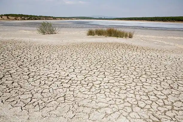 A dry, cracked earth foreground with a distant body of water and sparse vegetation under a hazy sky. The overlaid text reads…