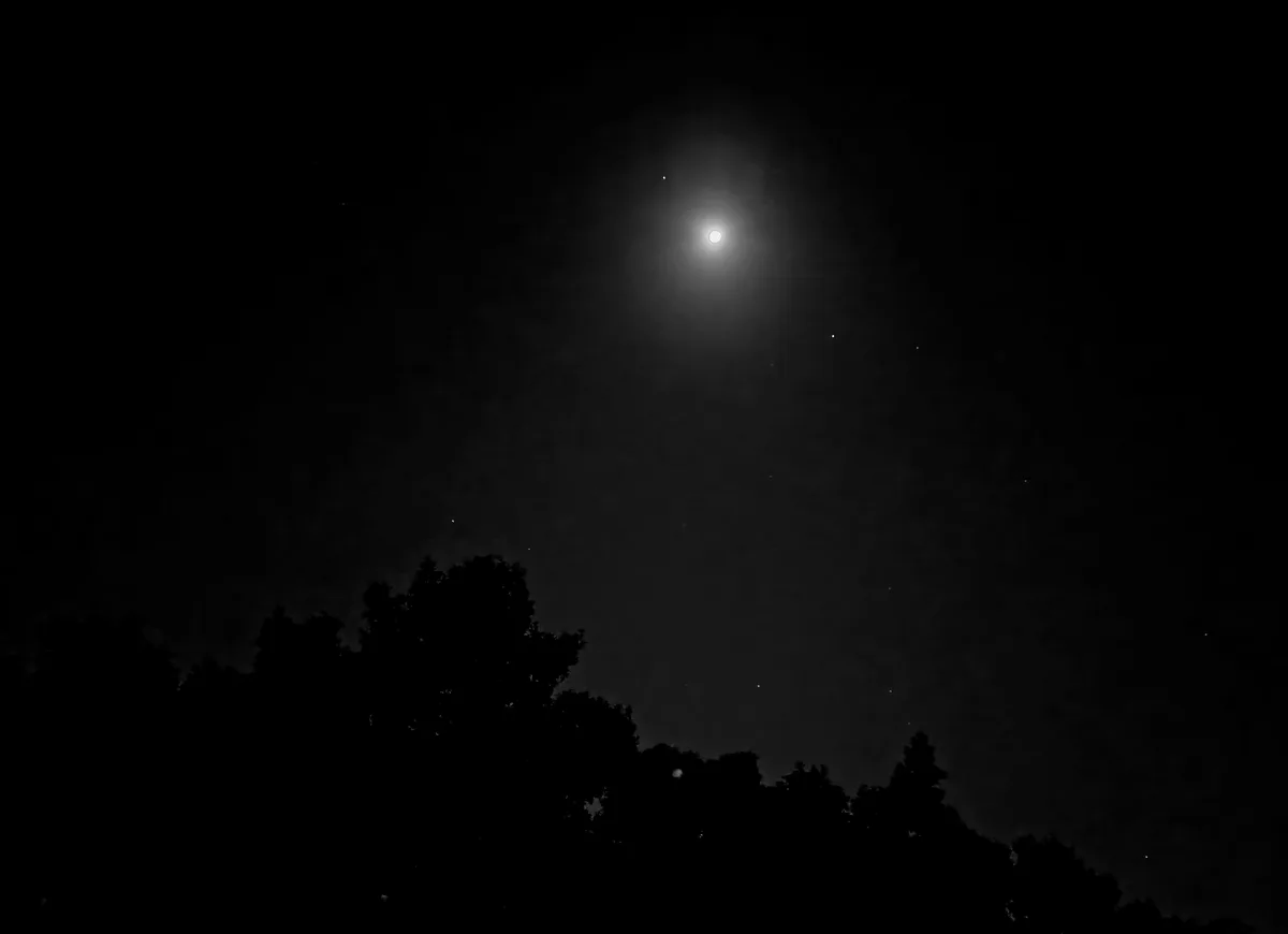 A black-and-white photo shows a bright moon in a dark night sky with faint stars and the silhouette of tree tops at the…