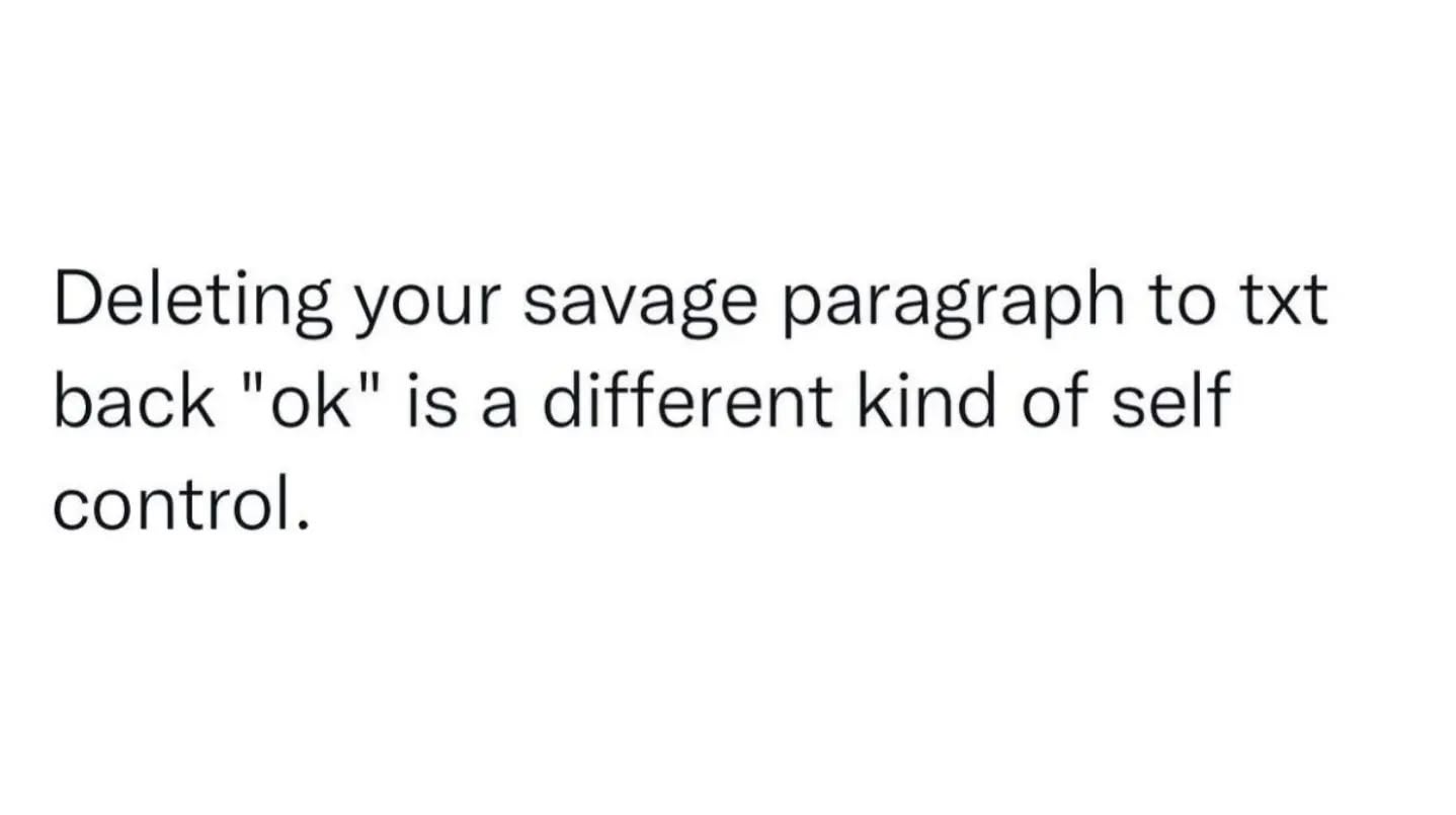 The image is a plain white background with black text that reads: 'Deleting your savage paragraph to txt back "ok" is a…