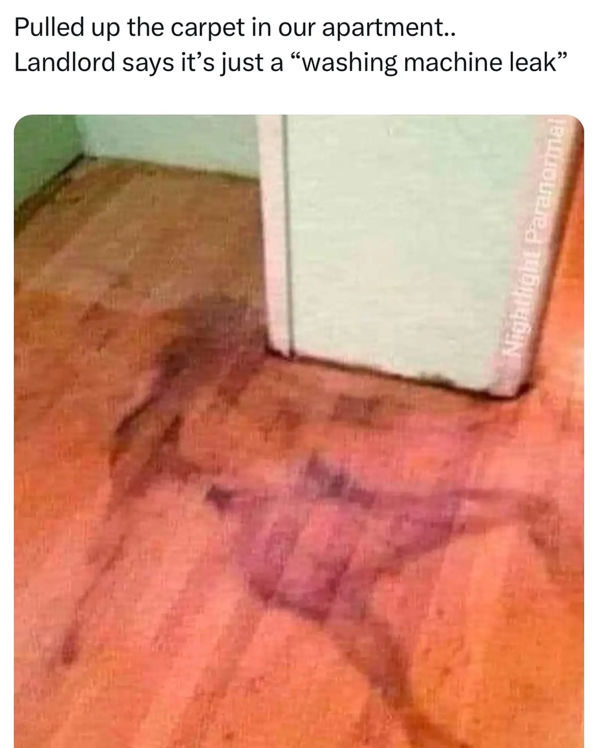 The image shows a close-up of a brown carpet with large, dark, irregular stains that look like water damage or a spill. A…