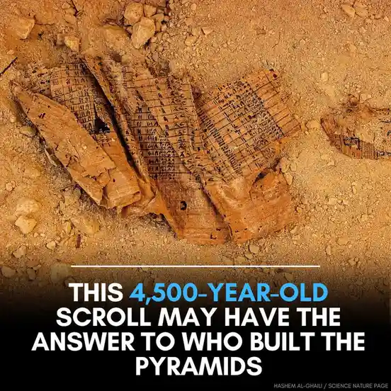 The image shows fragmented, ancient-looking papyrus scrolls with hieroglyphic-like writing, lying in sandy, rocky terrain…