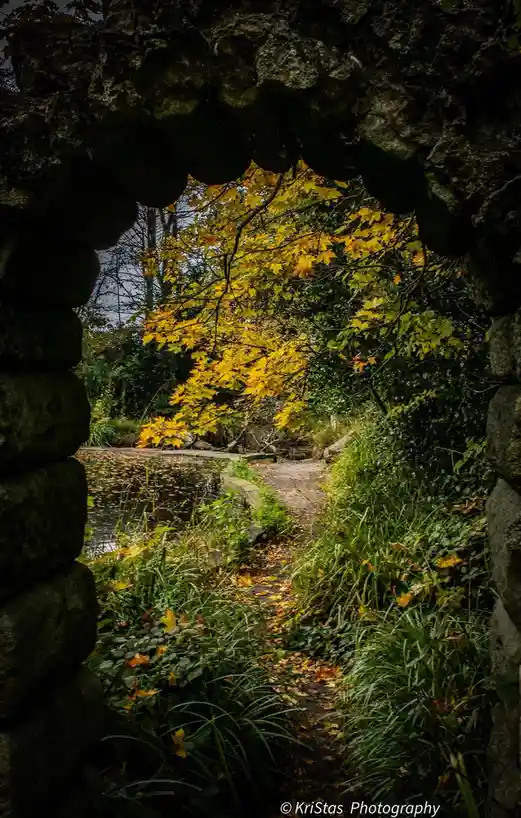 A photograph taken from within a dark, mossy stone archway looking out onto a scenic autumn path. The path is lined with…