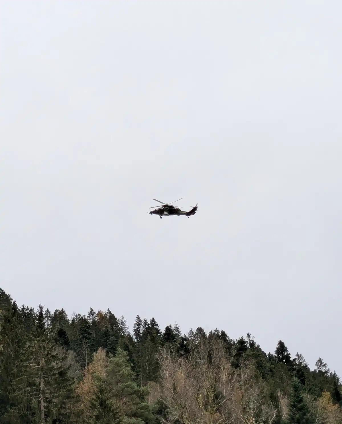 A military-style helicopter flies against an overcast sky above a dense forest of evergreen and bare trees. The overlaid…