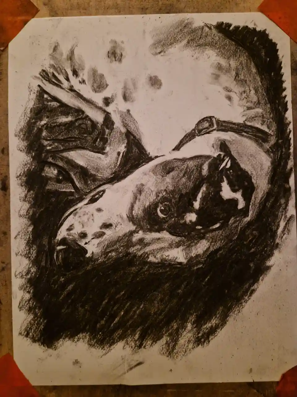 A charcoal sketch on paper depicts a dog with a spotted coat and a collar, drawn in a realistic style with heavy shading…