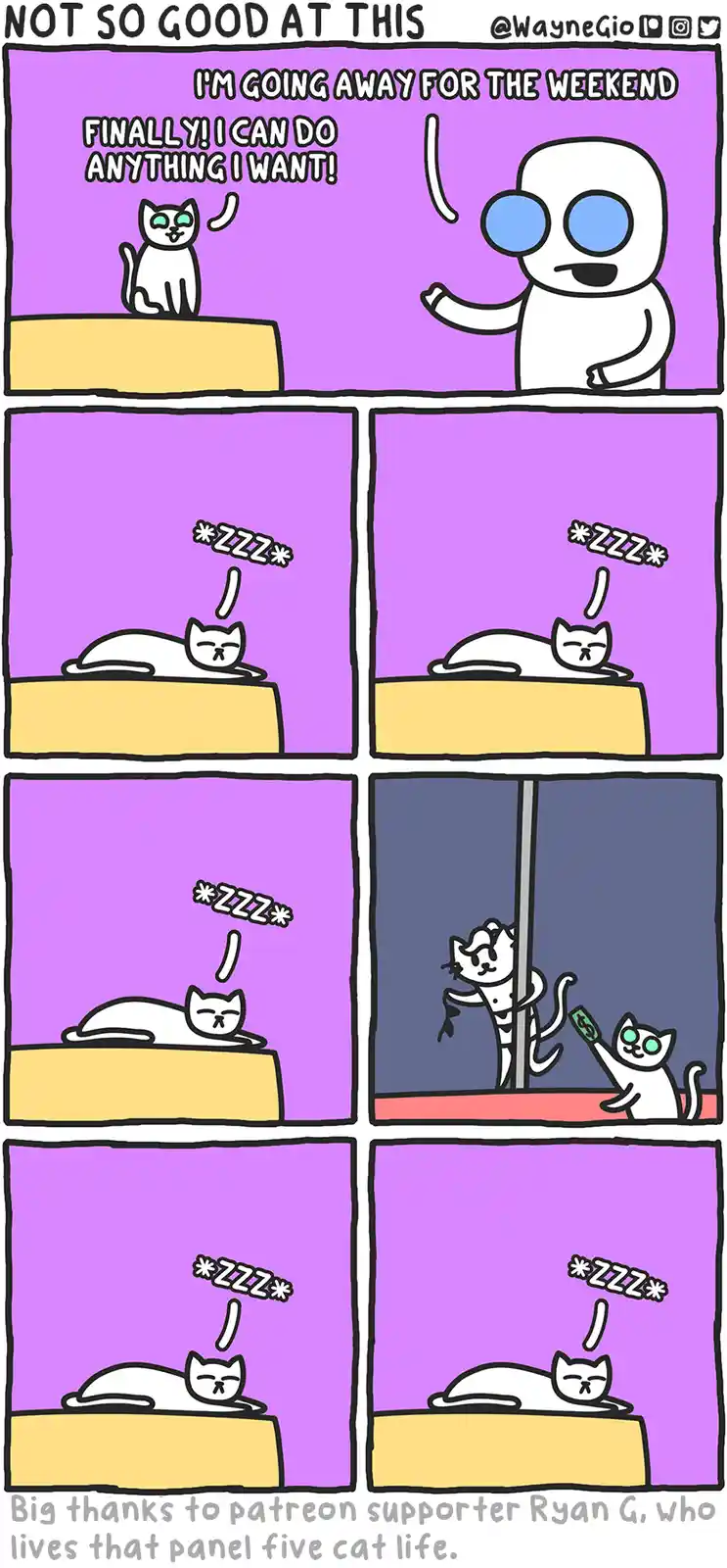 A six-panel comic strip shows a white cat on a yellow platform. In the first panel, the cat celebrates as a human figure…