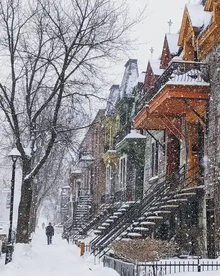 A snowy street lined with colorful, multi-story townhouses with snow-covered roofs and staircases, bare trees, and a lone…