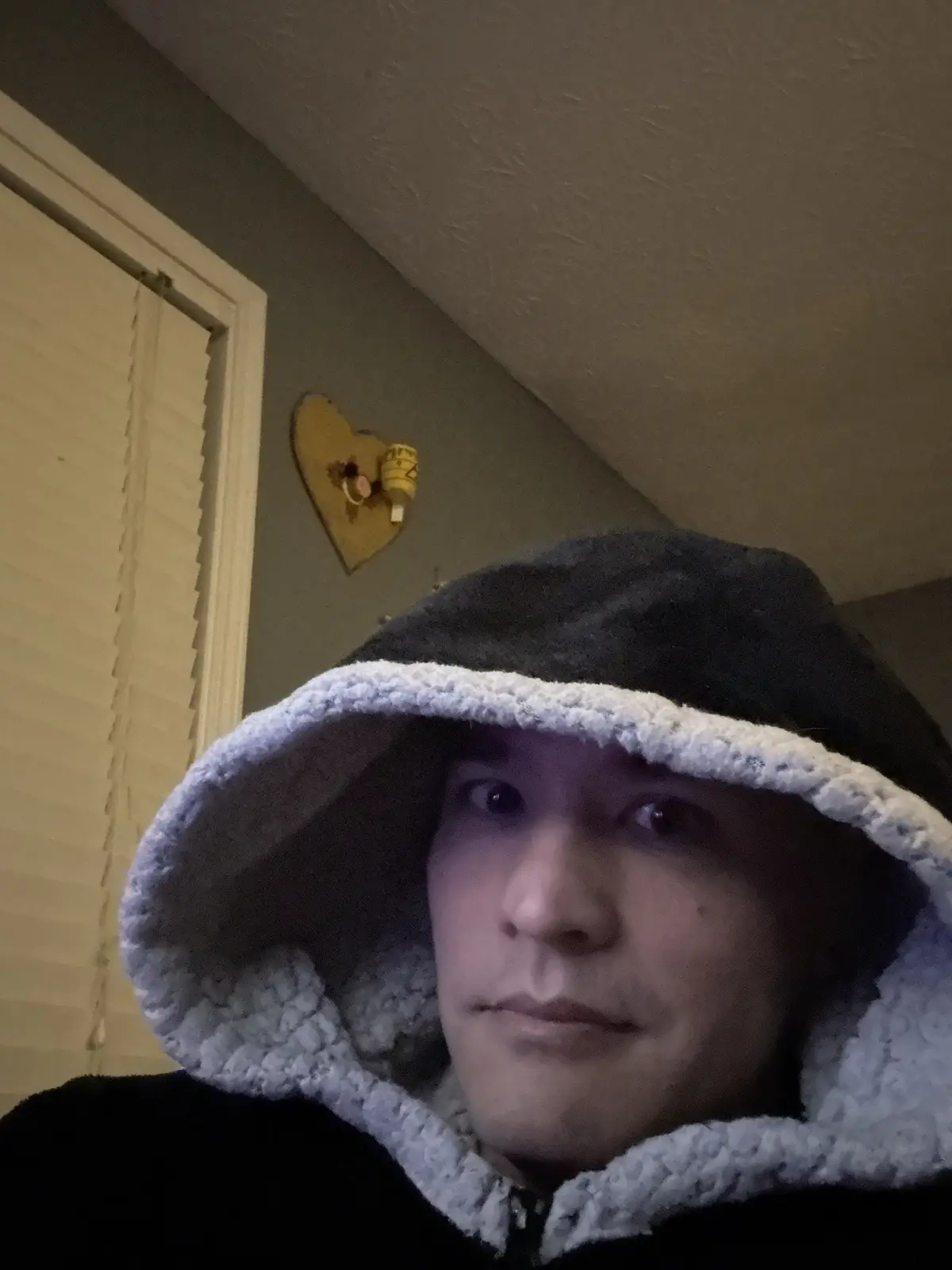 A person wearing a black hoodie with a light-colored fleece-lined hood pulled up over their head, obscuring most of their…