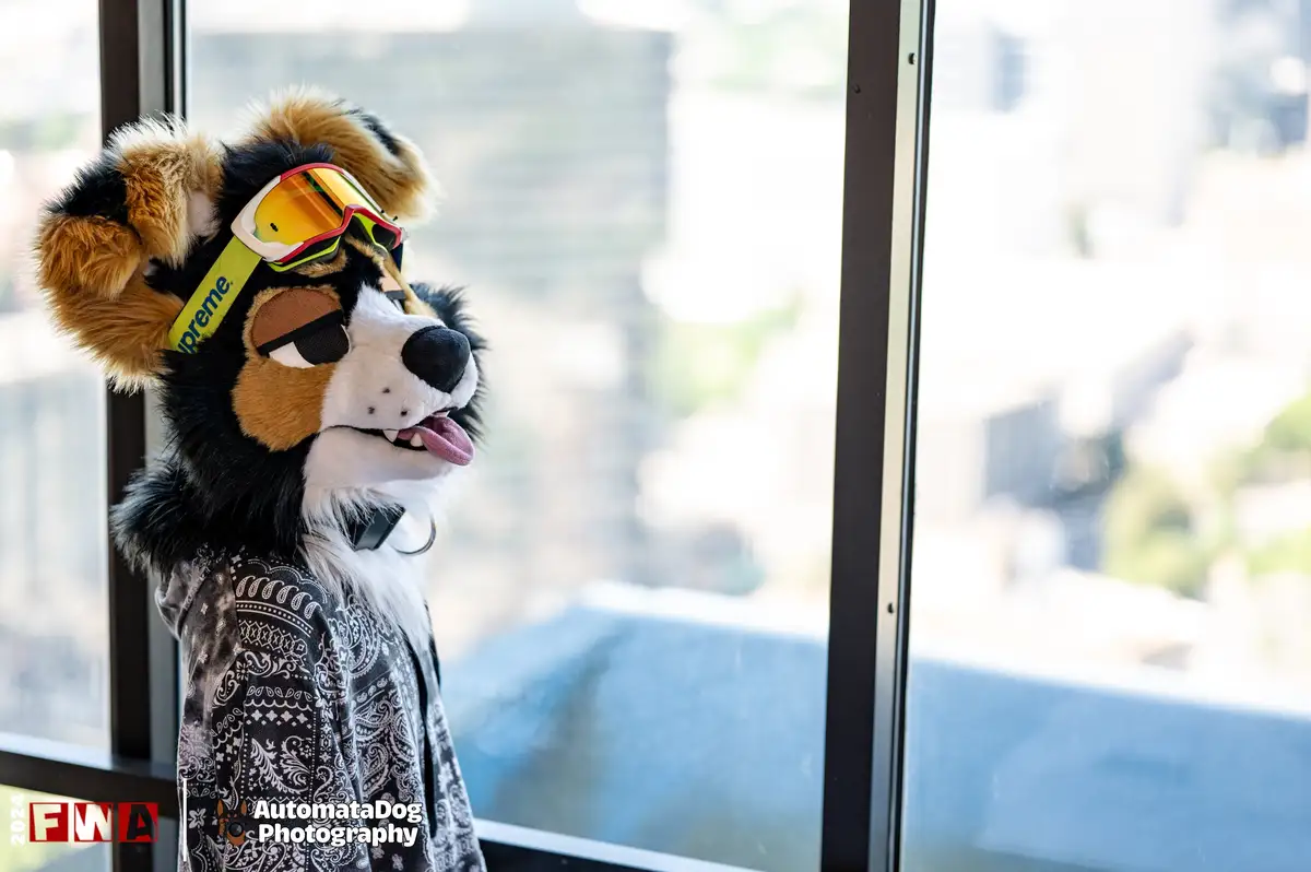 A person in a detailed tri-color dog fursuit stands by a window, wearing oversized ski goggles with a 'Supreme' strap and a…