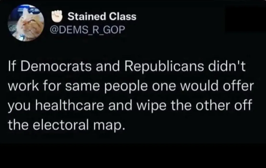A screenshot of a tweet from 'Stained Class' (@DEMS_R_GOP) featuring a cat profile picture. The tweet text reads: 'If…