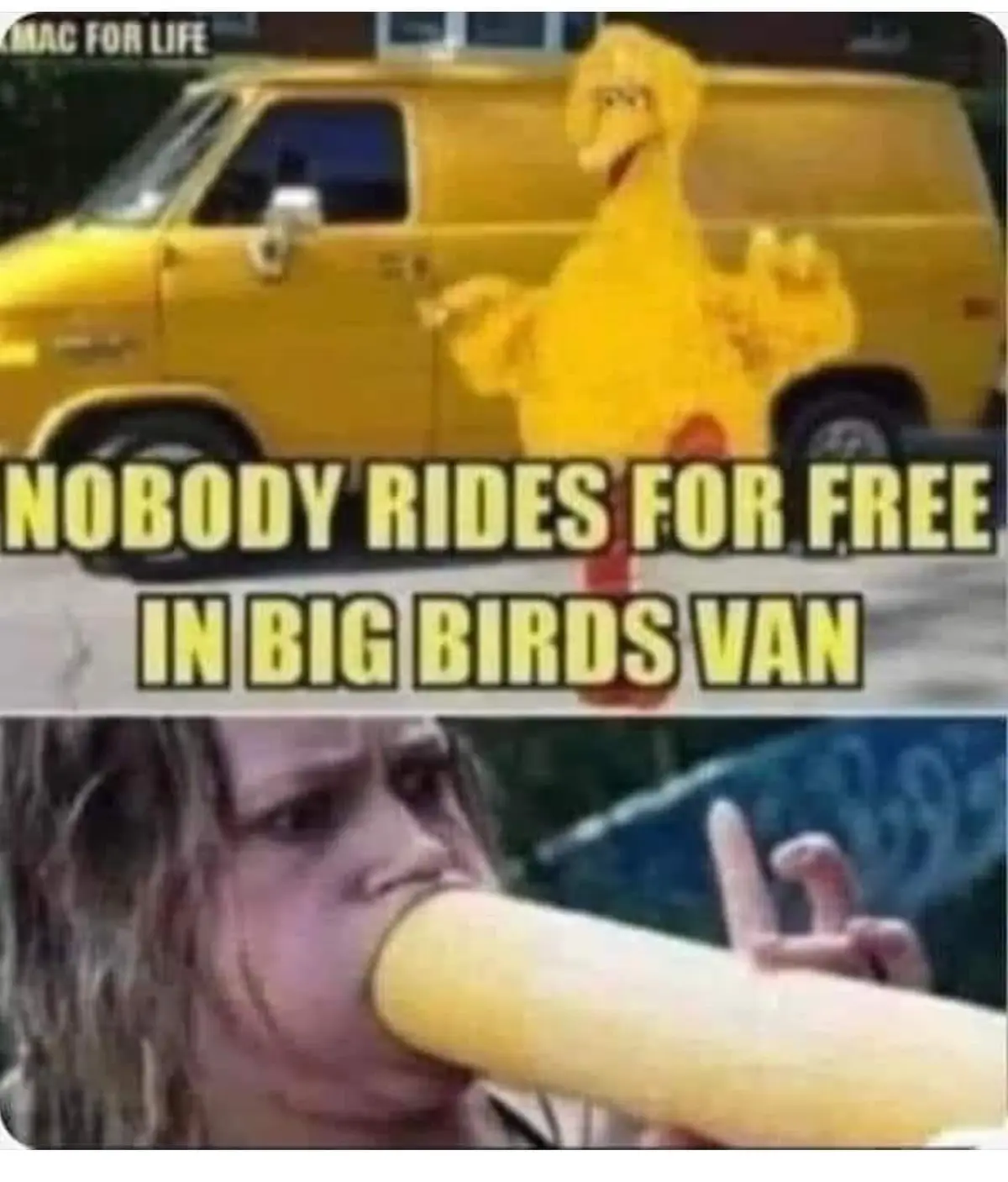 The top panel shows Big Bird from Sesame Street standing beside a yellow van, with the text 'NOBODY RIDES FOR FREE IN BIG…