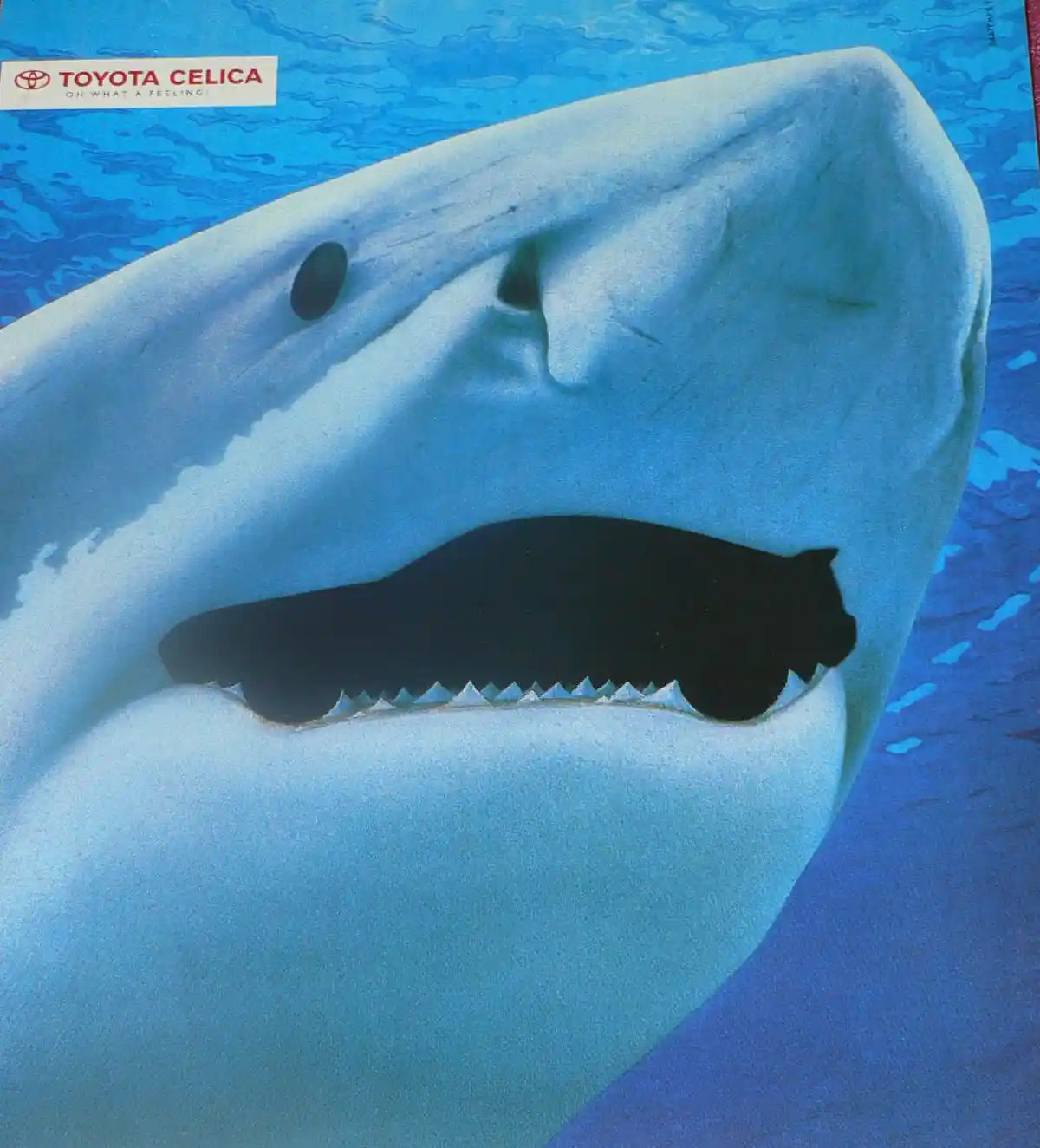A vintage Toyota Celica advertisement featuring a close-up of a shark's head with its mouth open, revealing a black…