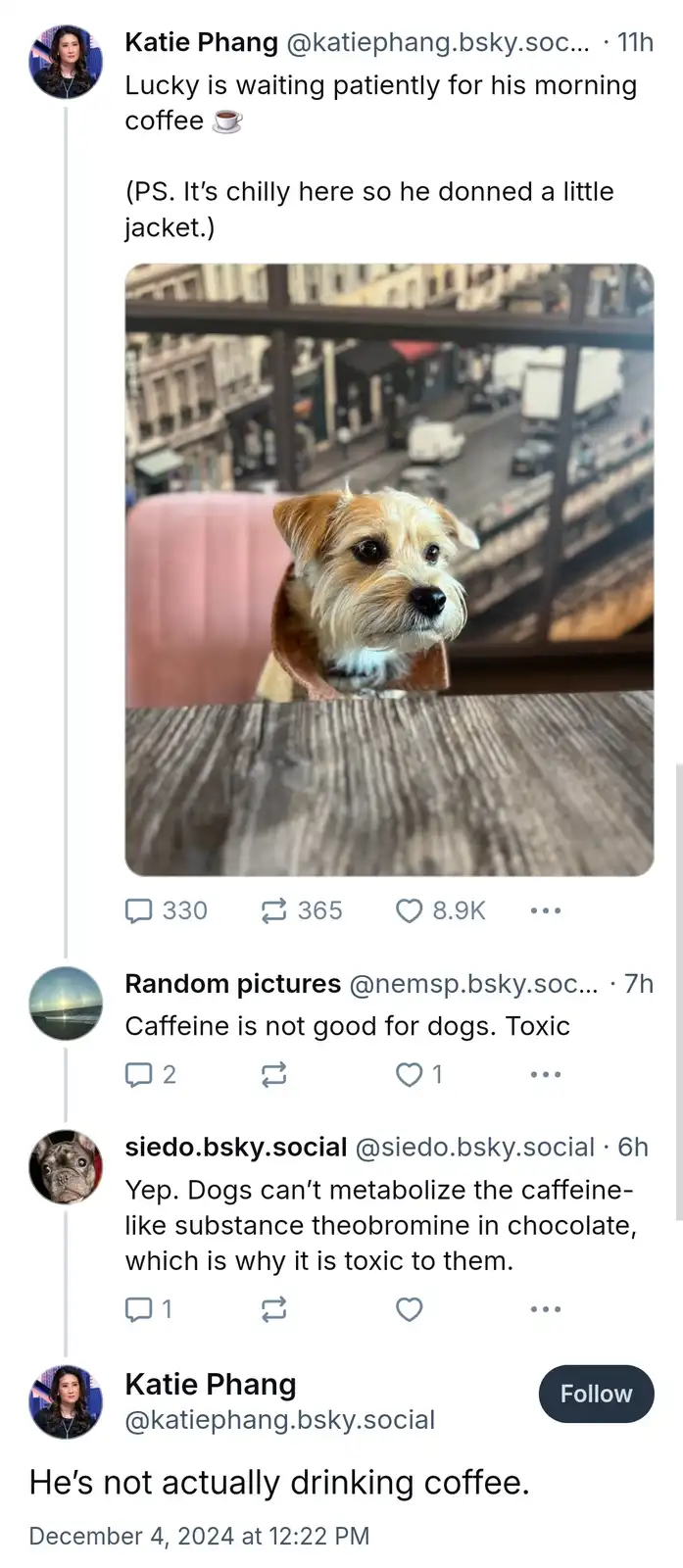 A small, scruffy dog wearing a tiny brown jacket sits at a wooden table, looking expectantly at the camera. The overlaid…