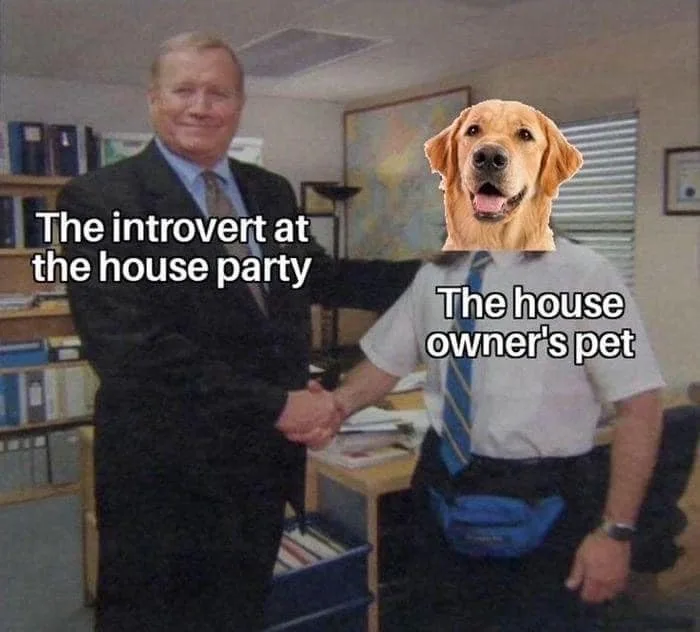 A perfect match made in heaven