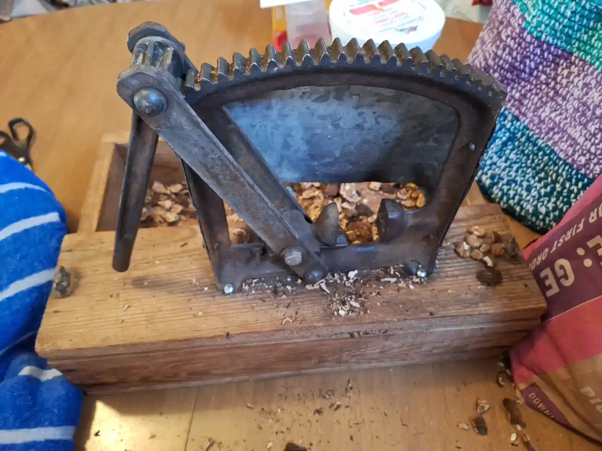 A close-up photo shows a vintage, rusty metal nutcracker mounted on a wooden base, actively cracking walnuts with shelled…