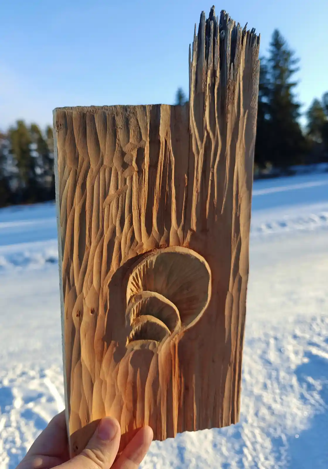 A hand holds a vertically oriented wooden plank with intricate carvings, including a detailed mushroom shape in the center…