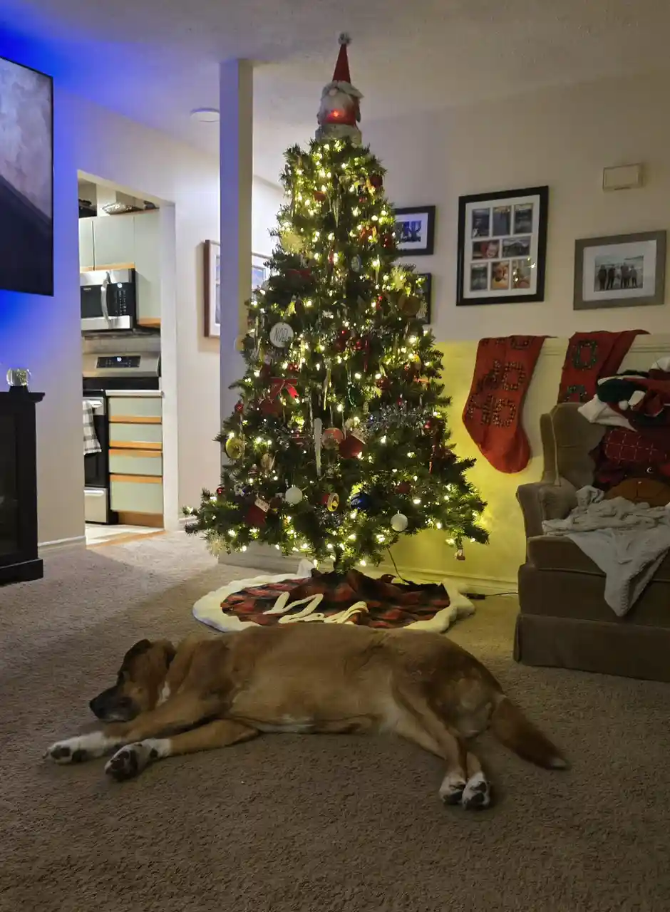 It's Starting to Feel a Lot Like Christmas