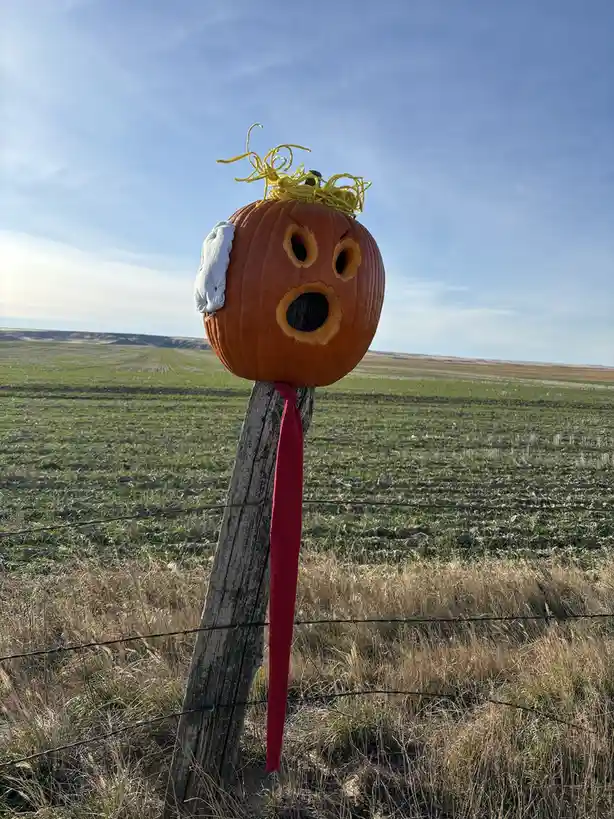 A carved pumpkin with a surprised expression, yellow yarn hair, a white sock on one side, and a red tie hanging down, is…