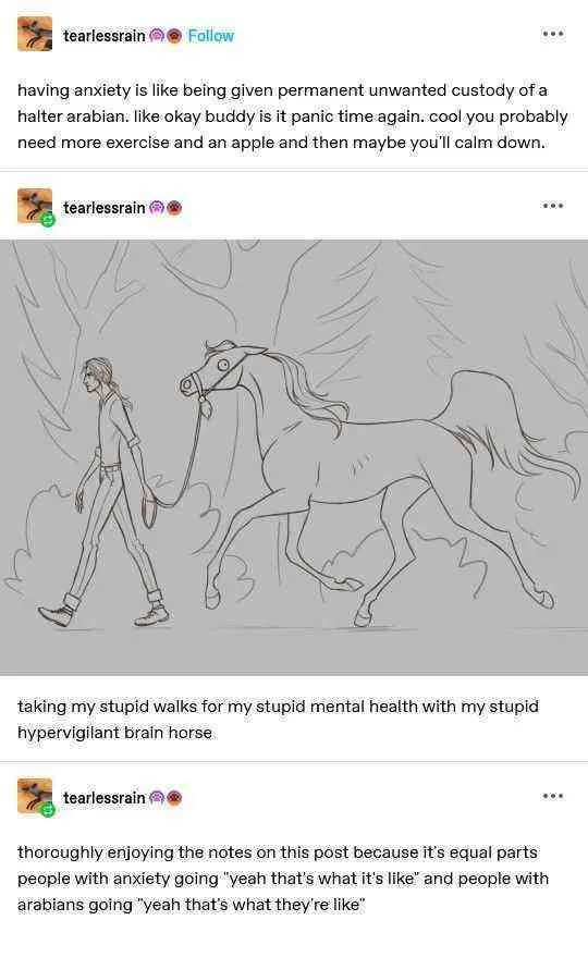 A grayscale line drawing shows a person walking a spirited Arabian horse on a lead rope through a forest. The overlaid text…