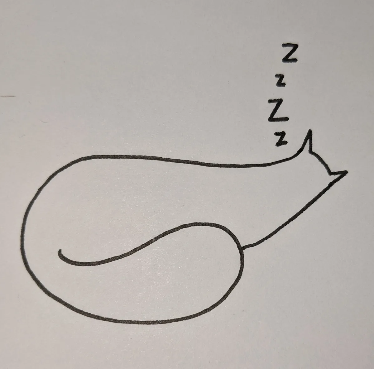 A simple black ink drawing on white paper shows a cat curled up in a sleeping position, with four 'z' letters stacked…