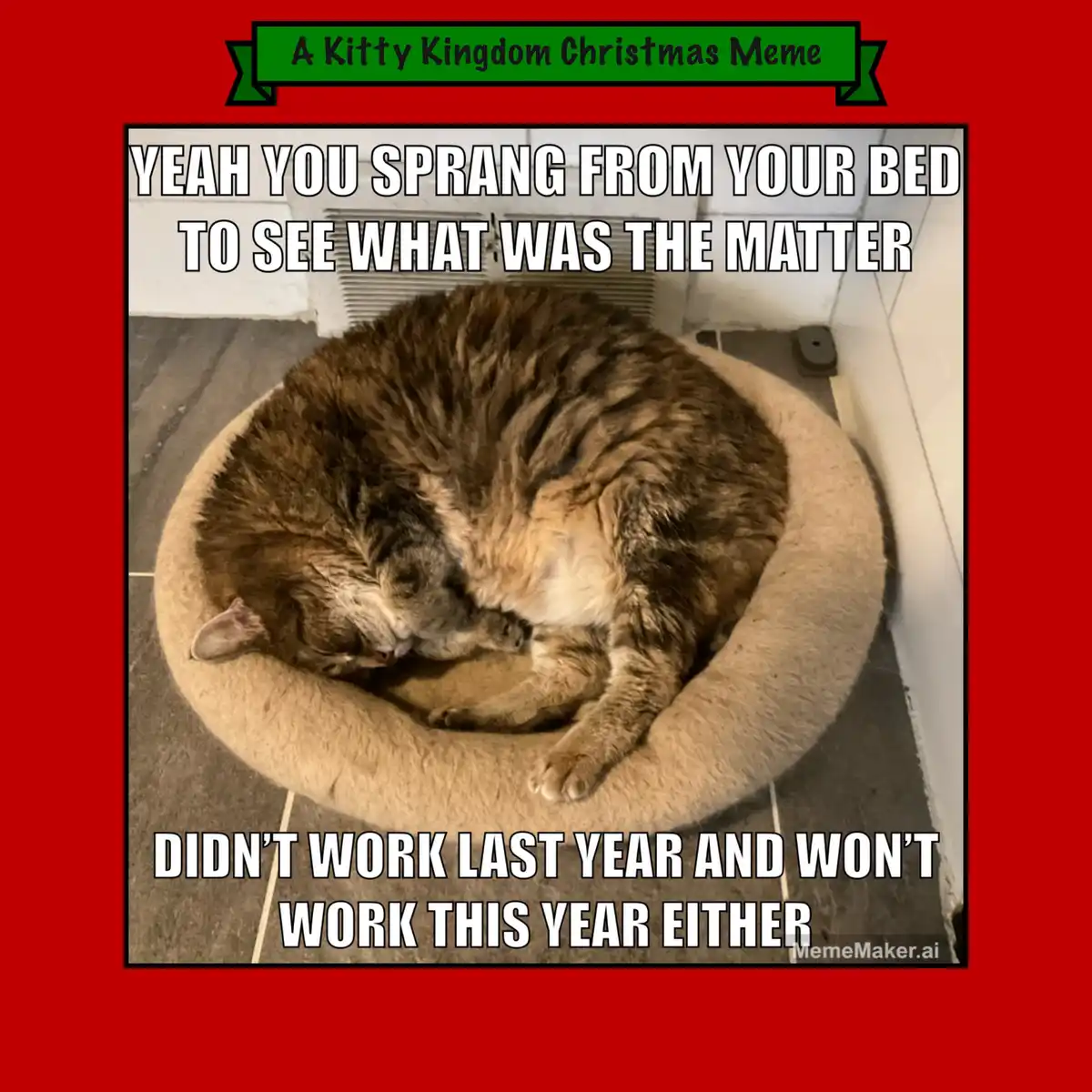 A brown tabby cat is curled up sleeping in a beige circular pet bed on a tiled floor. The image has white bold text overlaid…