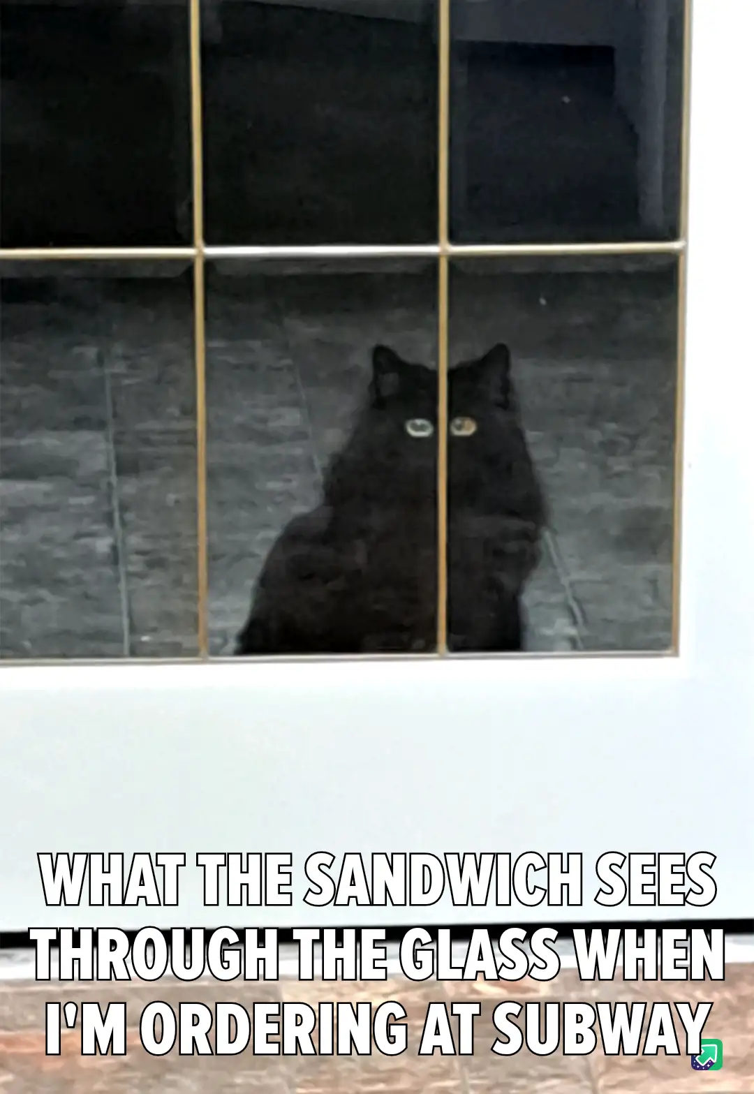 A black cat with glowing eyes is seen through a multi-paned glass window, looking directly at the viewer. The image has…