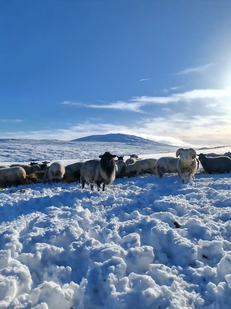 Breathtaking Views of the Commeragh Mountains in Ireland