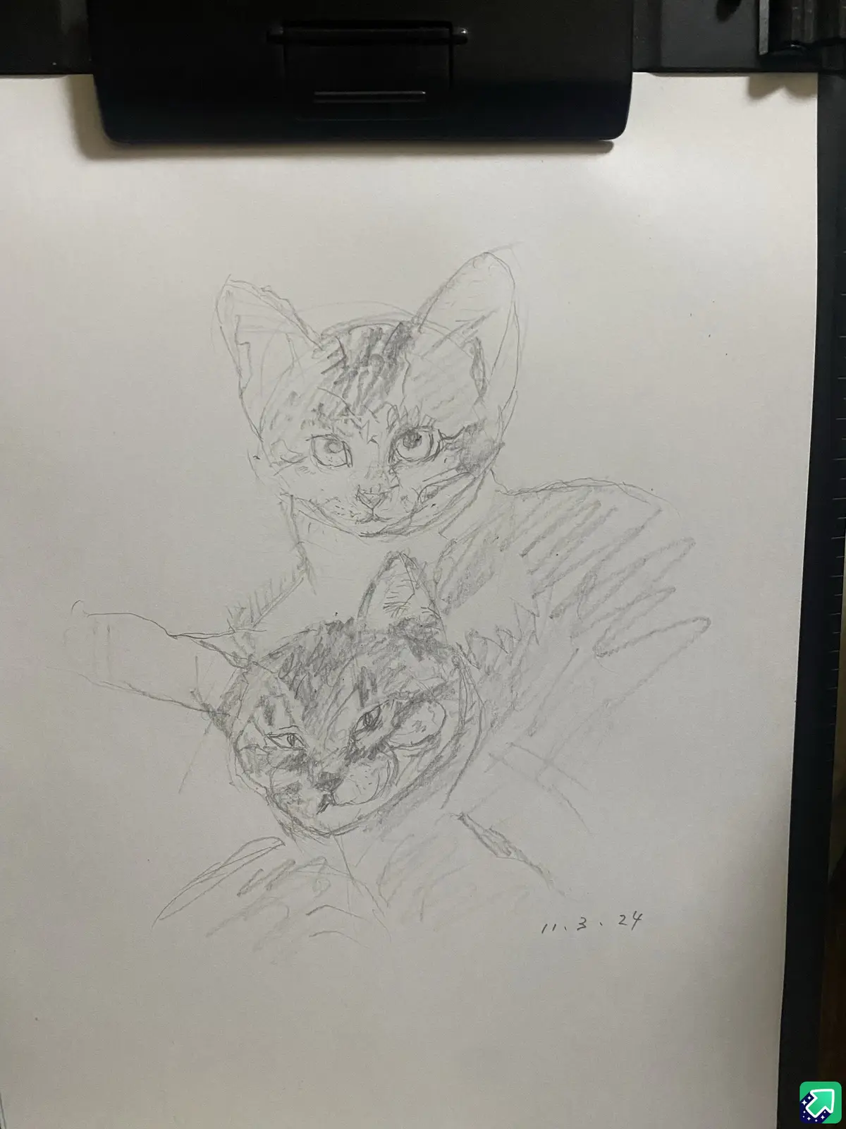 A pencil sketch on white paper shows two cats drawn one above the other, both with intense, staring expressions. The top cat…