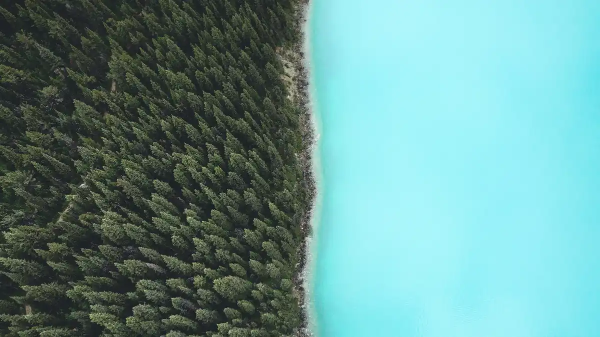In British Columbia's northern backwoods, a turquoise lake meets evergreens beneath Mount Robson, the Rockies' most…