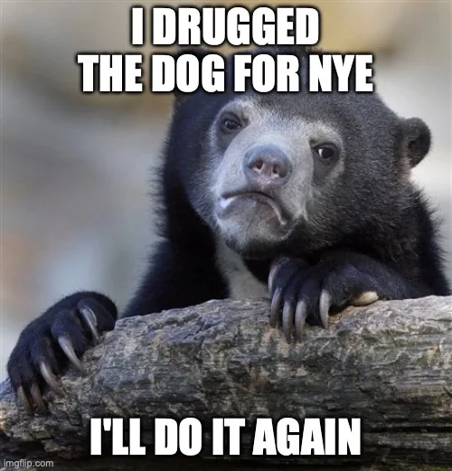 A black bear with a sad, resigned expression rests its paws on a log. White bold text overlaid on the image reads 'I DRUGGED…