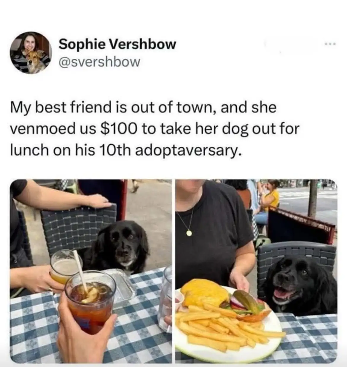 A split-screen image shows a black dog at an outdoor restaurant table. In the left panel, the dog looks solemnly at the…