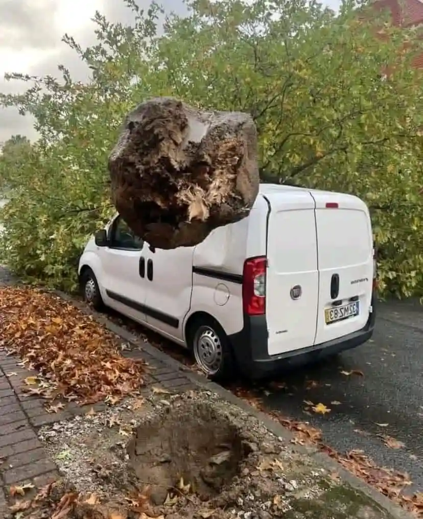 A white van is parked on a street covered in fallen autumn leaves, with a massive, irregularly shaped boulder balanced…