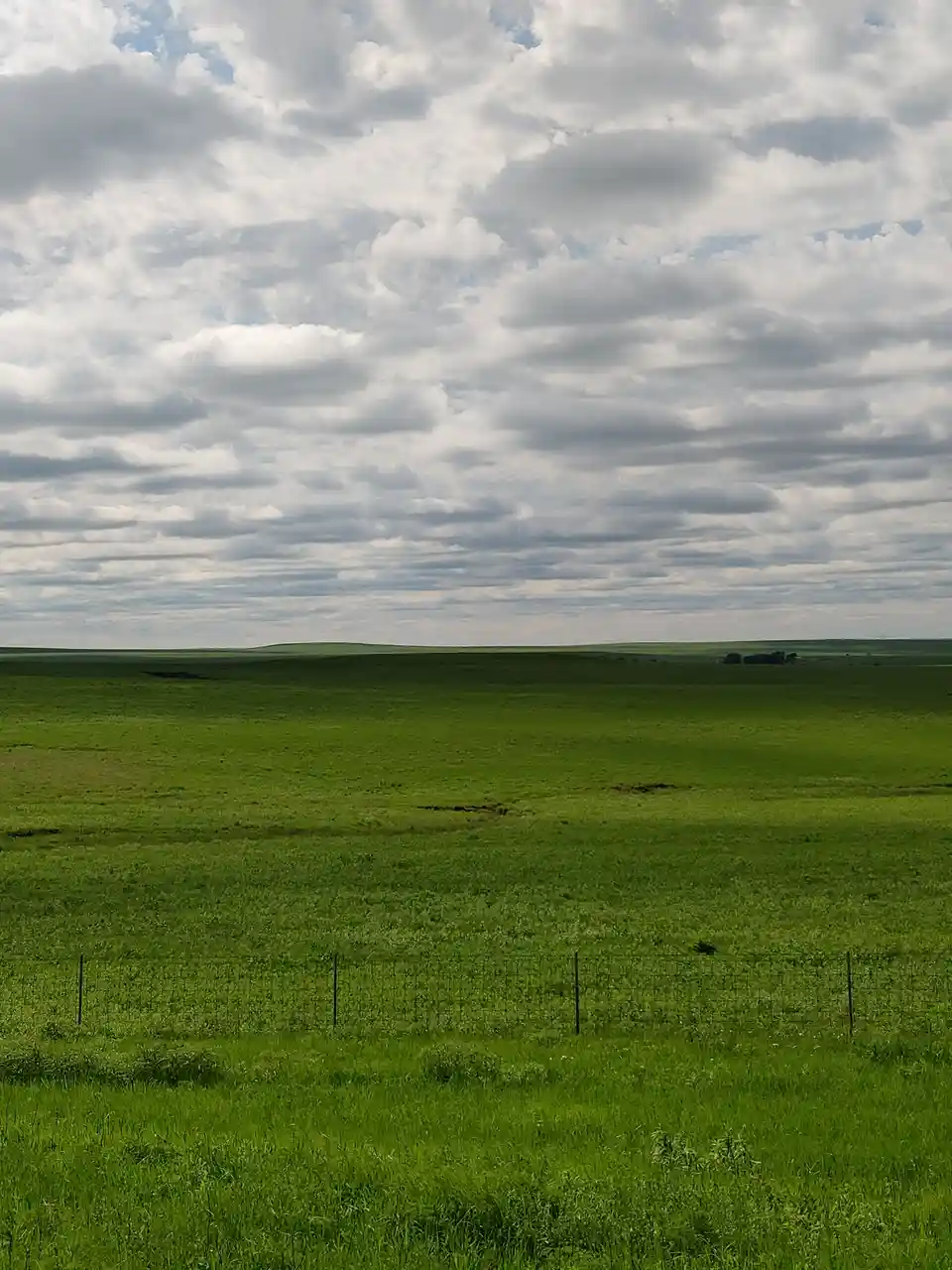 A wide, green grassy field under a cloudy sky, with a wire fence in the foreground. The overlaid text reads 'i'm not lazy…