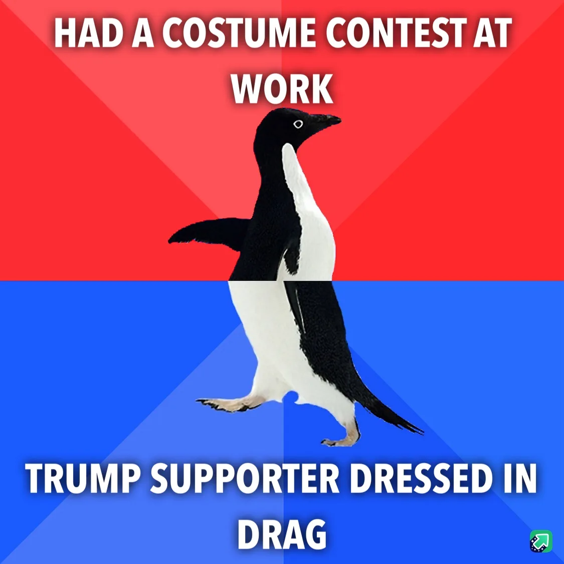 My conservative coworker rocked drag for the office costume contest!