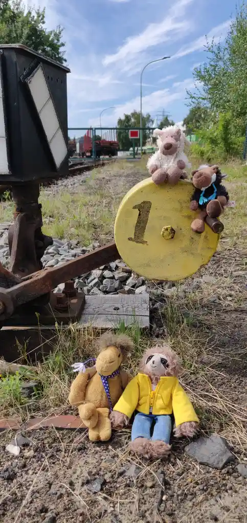 Several stuffed animals are arranged around a yellow railway marker numbered '1' on a gravel railway track. Two plush toys…