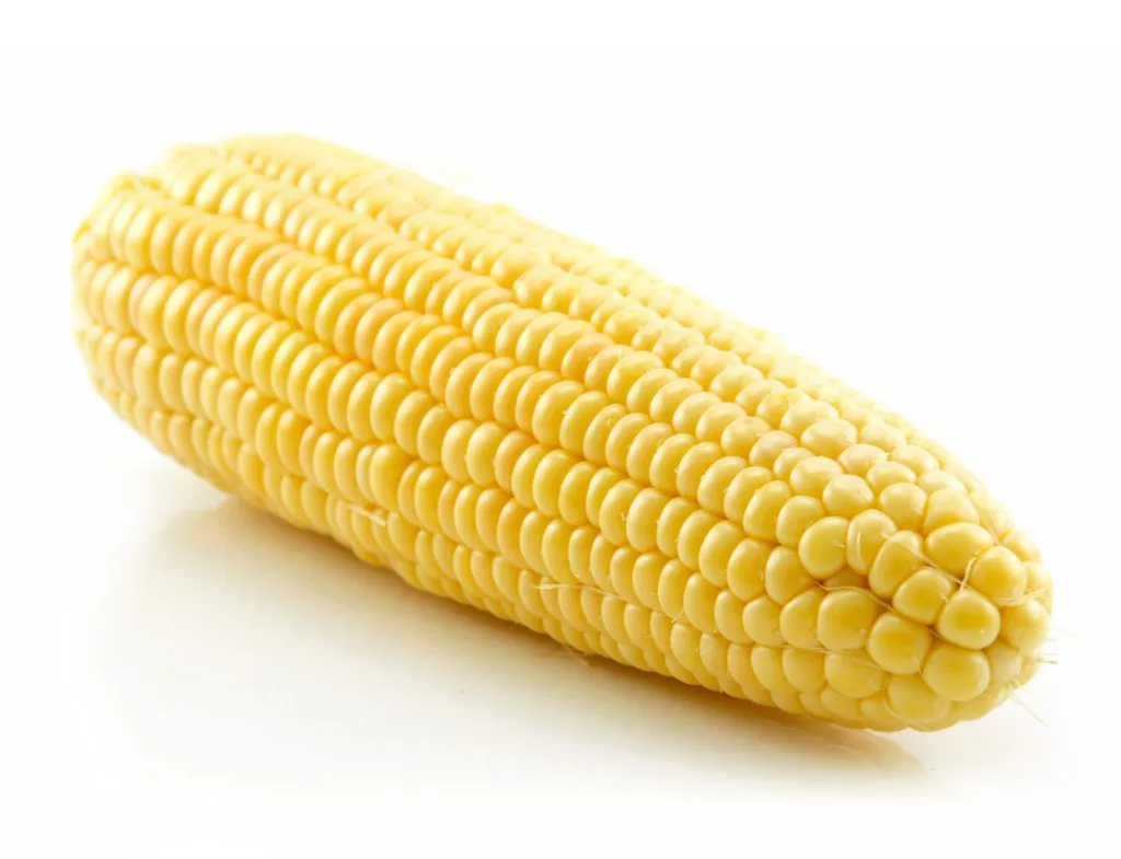 A single, peeled yellow corn on the cob is photographed against a plain white background, angled diagonally. The image has…