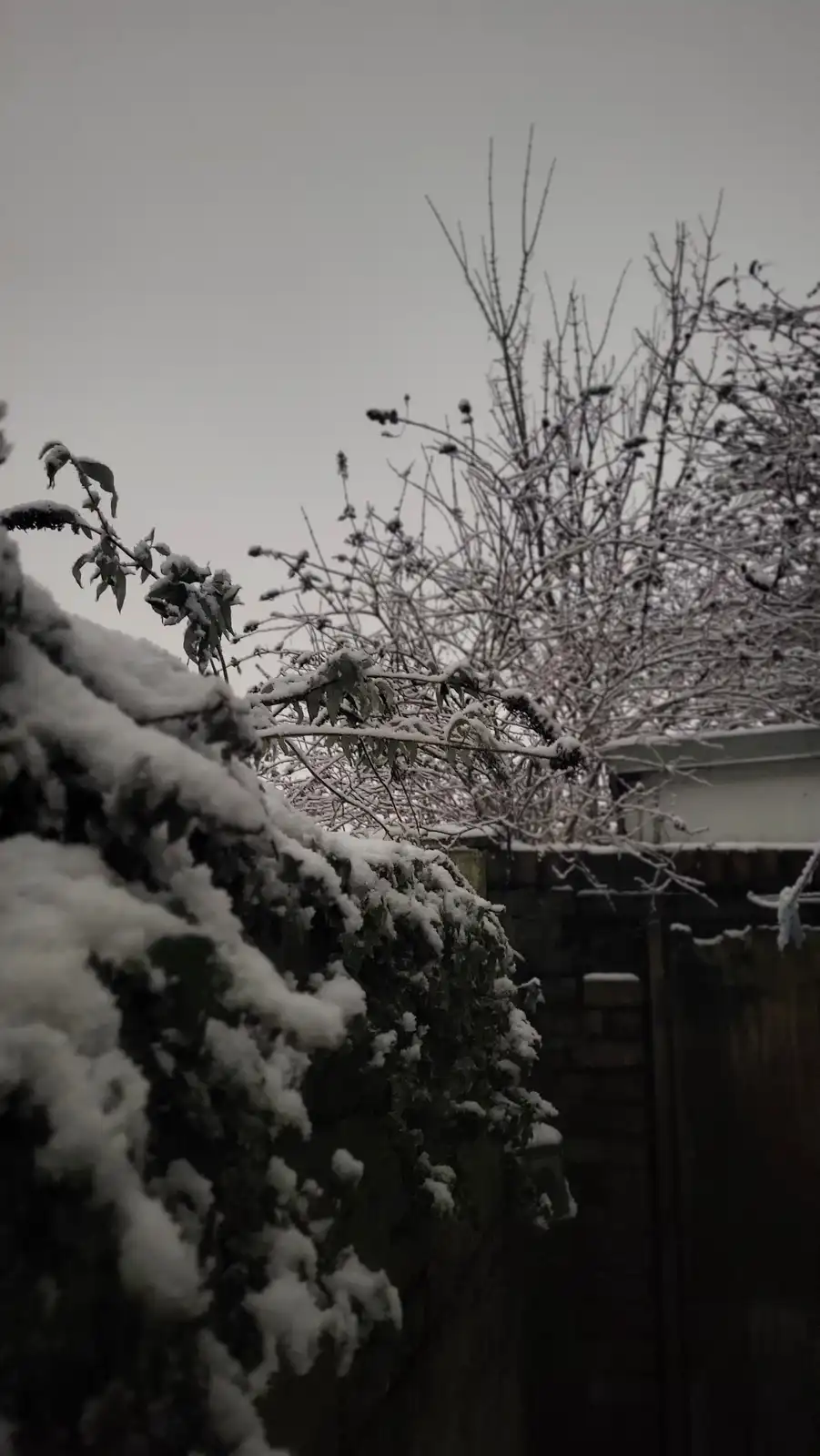A complete whiteout moment.