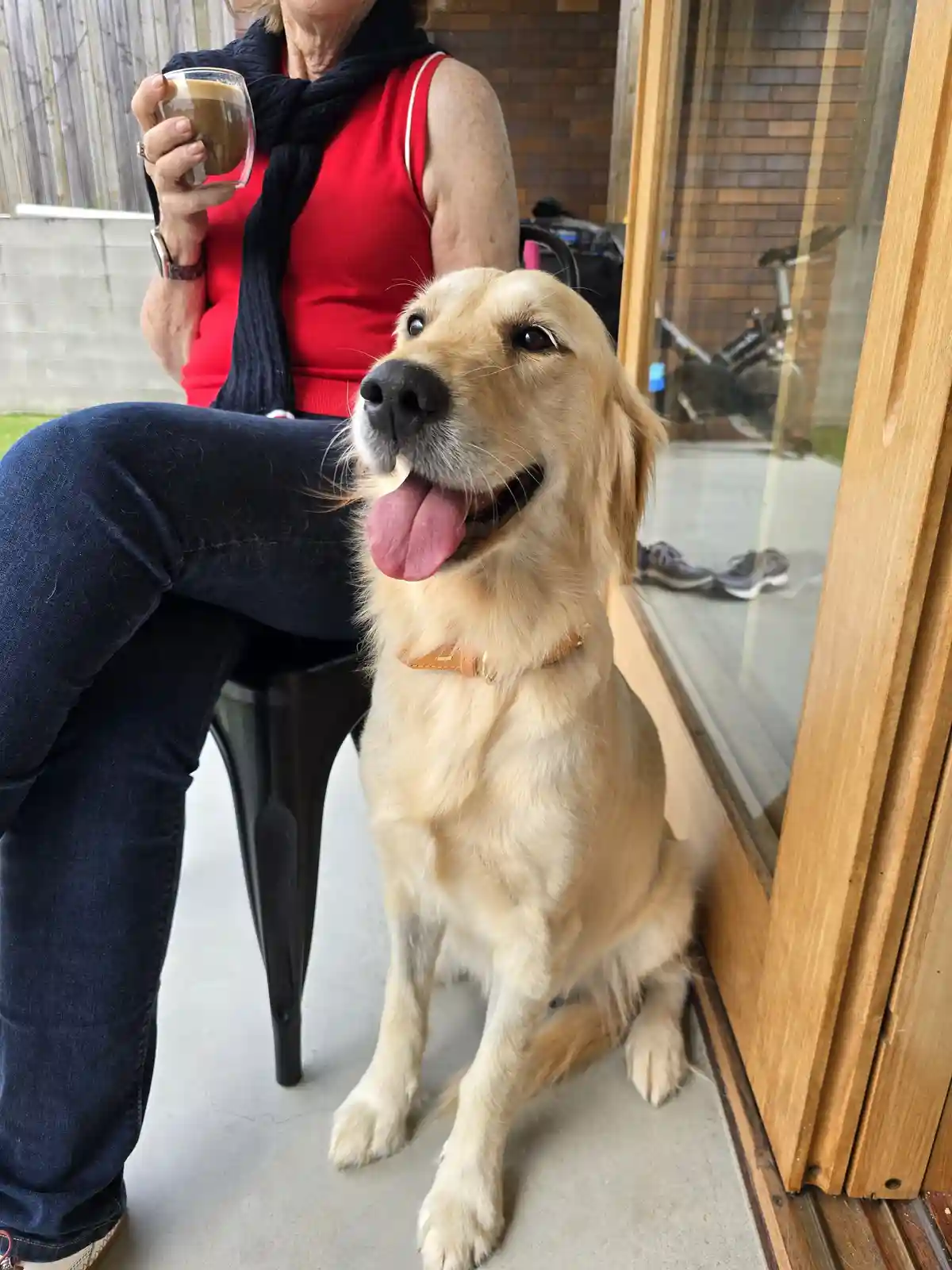 A golden retriever sits happily with its tongue out next to a woman in a red top holding a coffee, both looking toward the…