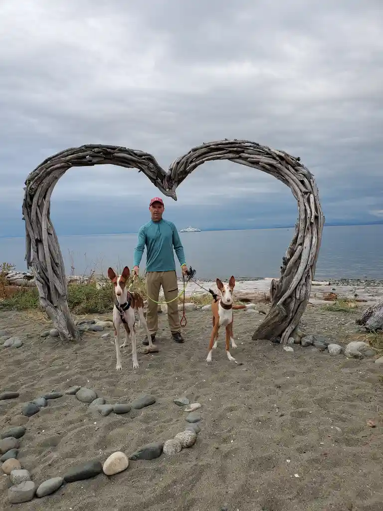 A man stands on a beach with two dogs, framed by a large heart-shaped arch made of driftwood. The same heart shape is also…