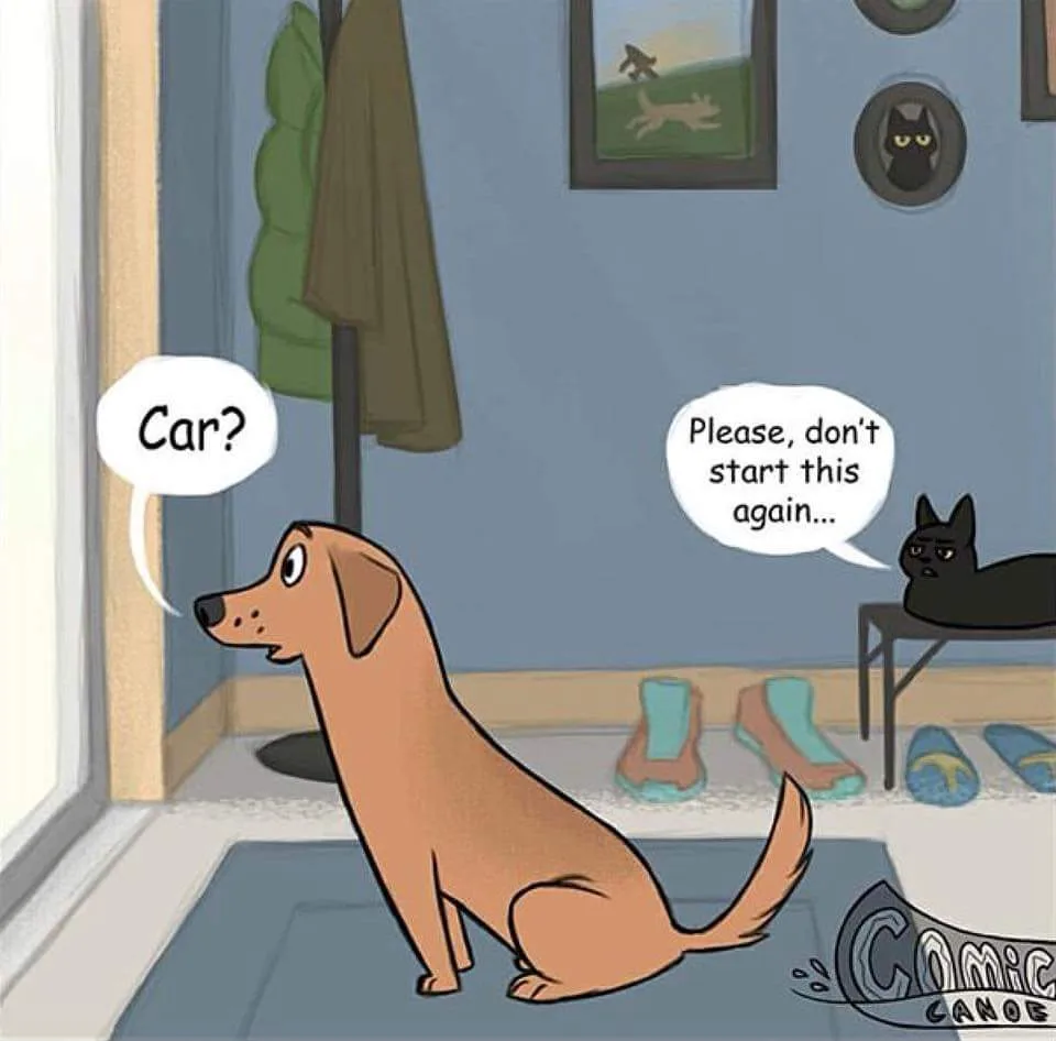 A cartoon brown dog sits by a window looking out, with a speech bubble saying 'Car?'. A black cat lounges on a small table…