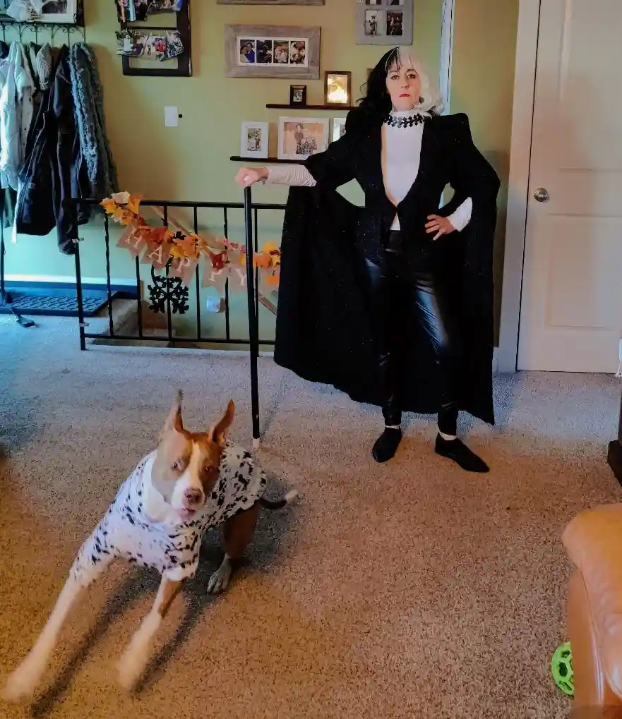 A person dressed as Cruella de Vil stands confidently in a living room, wearing a black cape, white top, and leather pants…