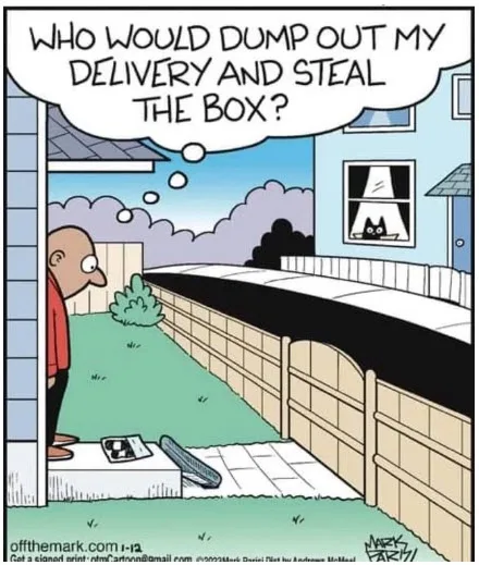 A bald man in a red shirt stands in his front yard, looking at an empty delivery box and a flattened cardboard tube on the…