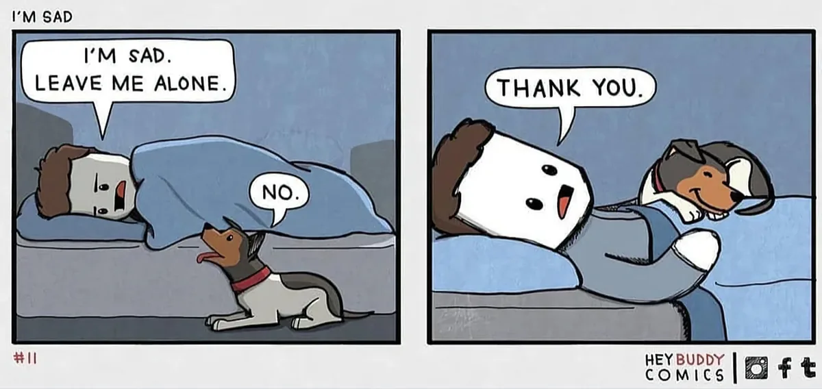 A two-panel comic shows a person in bed saying 'I'm sad. Leave me alone.' while a dog at the foot of the bed replies 'NO.'…