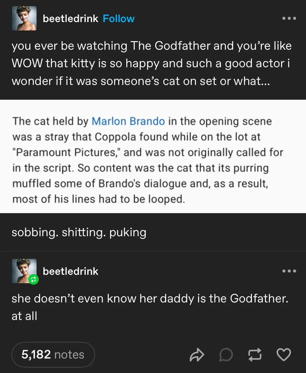 A screenshot of a social media post where a user expresses surprise at a cat in 'The Godfather' and wonders if it was a prop…