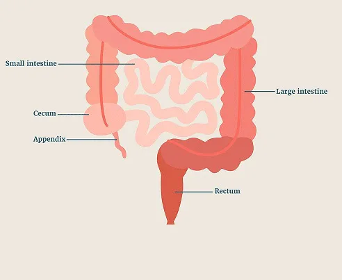 Started the New Year with Surgery: Here’s a GIF to Remember It!