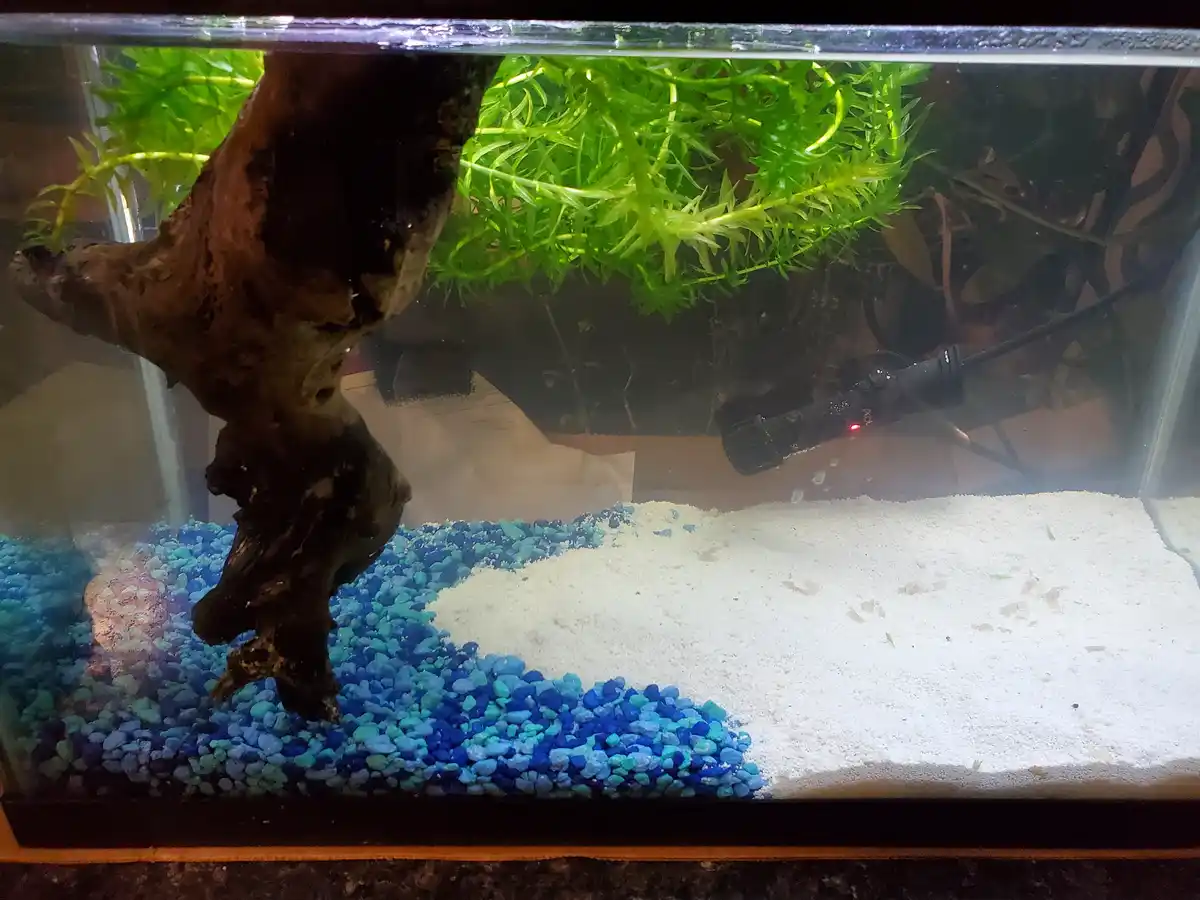 My $100 Challenge: Can I Handle This 10-Gallon Retail Adventure?