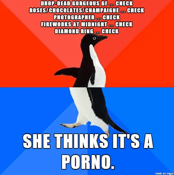 A penguin stands centered against a red and blue background, with text listing romantic gestures like roses, champagne, and…