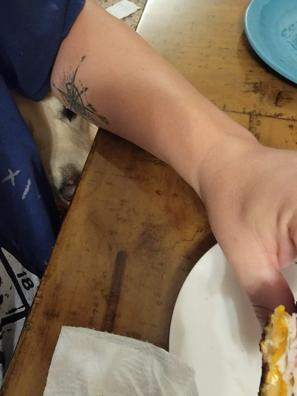 A person's forearm with a compass rose tattoo rests on a wooden table near a plate of food. A light-colored dog's head is…
